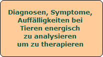 Verhaltensst�rungen bei Tieren analysieren. Pferde, Haustiere, Nutztiere, Nutzvieh. Bioenergetische Analyse bei Fehlverhalten, Auff�lligkeiten und Verhaltensst�rungen. 